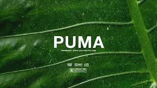 [FREE] Wizkid ft Tems & Ayra Starr Type Beat "Puma" | Afrobeat Instrumental 2023