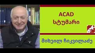 ACADIA - მიხეილ ჩიკვილაძე - სასკოლო განათლება