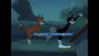 Tom & Jerry — Ep- 95 [ 1 ]  1955)