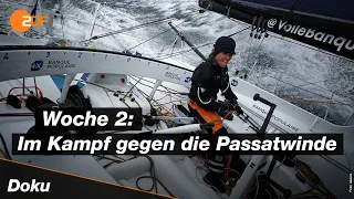 Vendée Globe: Auf Kurs bleiben | SPORTreportage - ZDF