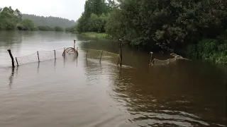 УСТАНОВИЛ ЖАКИ В РЕКУ!