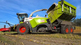 Maize harvest | Claas 980 Field Shuttle | New Holland T7.270 Blue Power Tractoren - DeBruyne