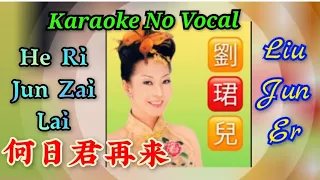 He Ri Jun Zai Lai 何日君再来 ~ karaoke no vocal ~ 劉珺兒 Liu Jun Er (female)