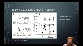 Neural Plasticity 6 - STDP