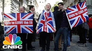 History Will Show Brexit Outcome 'Colossal' Mistake | Squawk Box | CNBC