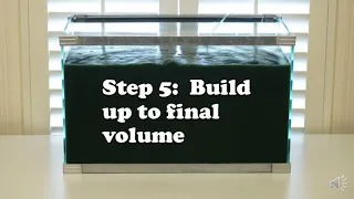Grow your own Spirulina step by step
