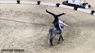 FEI Vaulting World Cup Final Basel 2024 - PDD ITA (Rebecca Greggio & Davide Zanello) 1st Round