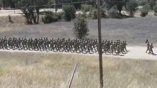 100th BN Bravo & Charlie Company Marching Cadence in Samoan