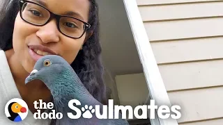 This Woman's Baby Is A Rescue Pigeon | The Dodo Soulmates