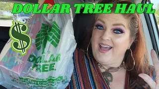 DOLLAR TREE HAUL | April 23, 2024