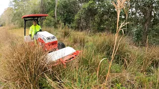Overgrown SWAMP With RATS & TRASH Mowed For Free (Neighbor Complained, Ventrac 4520 Answered)