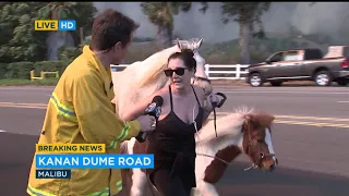 Horses, other animals evacuated as Malibu homes threatened by Woolsey Fire | ABC7