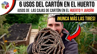 📦 NUNCA MÁS TIRES las CAJAS de CARTÓN 🌱 LOS 6 MEJORES USOS del CARTÓN en tu HUERTO o JARDÍN