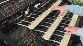 Rock´n´Roll & Boogie Medley (Organ Drawbars) / Florian Hutter - Wersi Atlantis