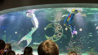 The Little Mermaid Show, Aqua