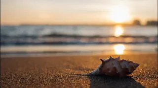 夕暮れの砂浜　～波の音と安らぎの音楽、癒されたい時にぴったりなピアノのBGM～