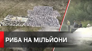 Штраф майже 2 мільйони гривень: на Вінниччині рибалка сітками наловив понад 83 кг риби