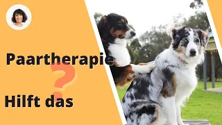 Paartherapie - hilft das?