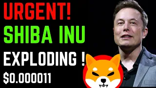 ATTENTION! SHIBA INU EXPLODING, SHIBA INU ROBINHOOD PETITION, STRONG REBOUND