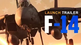 DCS F-14 TOMCAT - THIS IS WAR