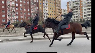 Gəncədə "Novruz Bayramı" Yorğa Atlar yürüşü🇦🇿🇦🇿🇦🇿🇦🇿🇦🇿