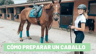 Cómo preparar un caballo || Tutorial