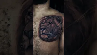 Mr.K do the first time tattoo on his chest. and Volta did the amazing job again