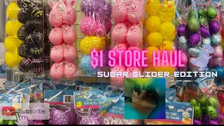 SUGAR GLIDER $1 HAUL | ANOTHER VISIT TO THE DOLLAR STORE!