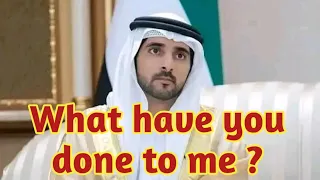 Fazza Poems 👉What have you: Sheikh hamdan poems | #faz3 #fazza #fazza3 #sheikhhamdan #f3