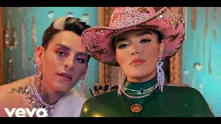 KAROL G ft. Daddy Yankee & Nicki Minaj - BICHOTA (Remix) | Music Video [Mashup]