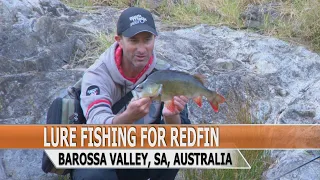 Fishing Edge episode - River fishing for redfin in the Barossa Valley