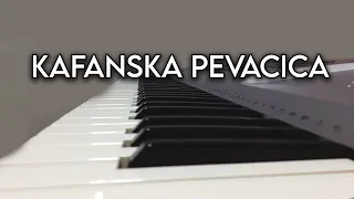 Zeljko Samardzic-Kafanska Pevacica/Instrumental