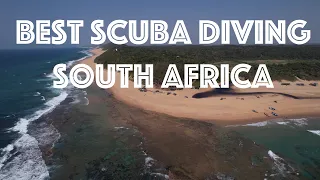 Best Scuba diving in South Africa - Sodwana Bay