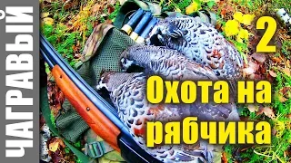 Охота на рябчика с манком - 2. Hunting for a hazel grouse with a mank - 2.