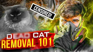 D*** Cat Removal 101