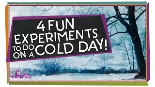 4 Things to Do When It's Too Cold Outside! | Winter Science | SciShow Kids