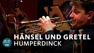Humperdinck - Hansel and Gretel (Prelude) | WDR Funkhausorchester