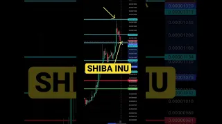 SHIBA INU (34,000,000 MILLION SHARES) $500 CLOSING TRADE #SHIBAINU #SHORTS #CRYPTO #TRADING #INVEST