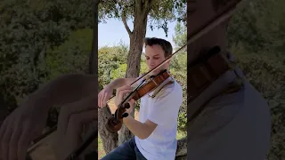 Jerusalema by Master KG - Israel Gatterer Magical Violin cover