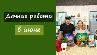 Дачные работы в июне