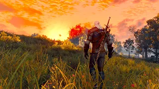 THE WITCHER 3 FREE ROAM (Next gen) Combat - No Commentary