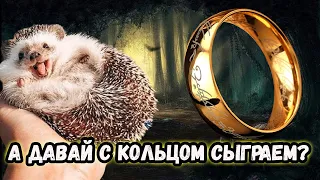 Age of the ring 7.3.1 Еж поджег мне пердак. Властелин колец.