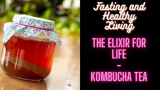 Kombucha Tea : The Elixir for life