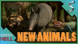 HUNTING THE NEW ANIMALS! HUGE NEW UPDATE! - Green Hell [Survival Gameplay E11]