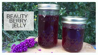 BEAUTY BERRY JELLY |  Short & Sweet Saturday