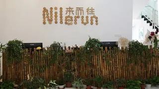 Nilerun Handmade Natural Bamboo Wood Horn Products