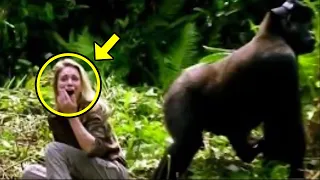 What The Gorilla Did To A Tourist In The Jungle Shocked The Whole World!
