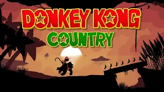 DONKEY KONG COUNTRY • Chill and Exciting Music Compilation