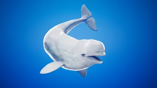 Beluga Whale UE4 Trailer