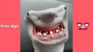 Funny Shark Puppet Tik Tok 2021 | Try Not To Laugh Challenge Watching Tik Toks